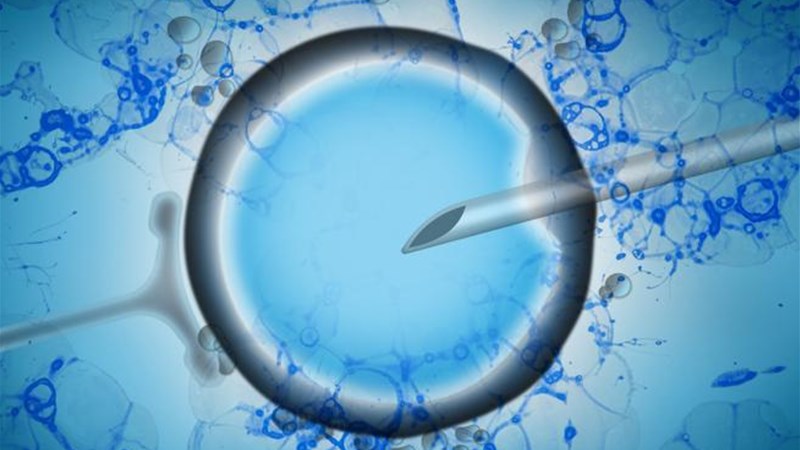 Fecondazione assistita all&#39;estero, tutto quello che &#232; importante sapere